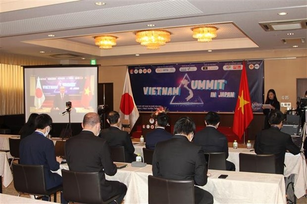 Association of Vietnamese Intellectuals in Japan work to foster friendship